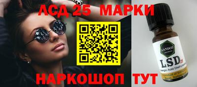тгк Бердск