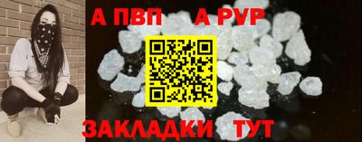 тгк Бердск