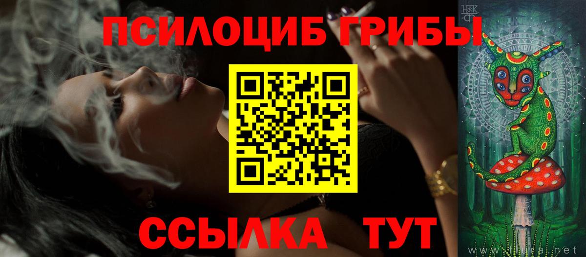 Дмитров  Галлюциногенные грибы мухоморы  Вход с VPN 